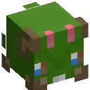 OliveWybel