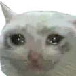 babasi1Hu babasi1Hu