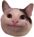 5_catt Discord emoji
