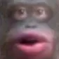 UhOhStinky