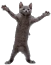 a_hamsterdance