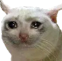 cry cry