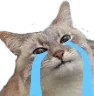 cri