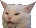 ancat Discord Emoji