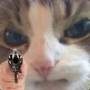 catgun
