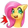 fluttersurprise
