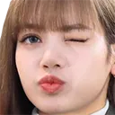 lisawink lisawink