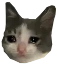 SCson
