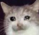 SChewwo