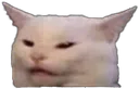 SCsalad