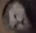 SCnotwakingup