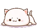 catlay