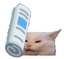 :fuckuandrade: Discord Emote