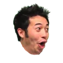 pog pog