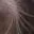 PettedCat_2_2