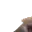 PettedCat_0_0