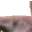 PettedCat_1_0