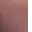PettedCat_3_1