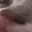 PettedCat_1_1