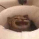 :happypussy: Discord Emote