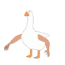 GStronk GStronk