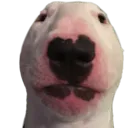 walter