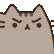 madcat madcat