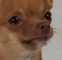 SadBoy