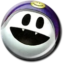 pin117