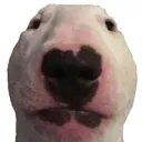 walter