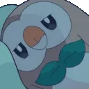 rowletSleeper