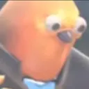 PootisWhat