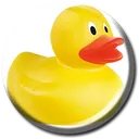 pin170