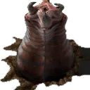 big_worm