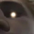 xqcGob2 xqcGob2
