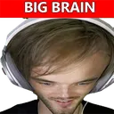 bigbrain