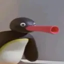 YN_NootNoot