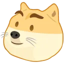 dogedayum