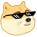 dogecool1