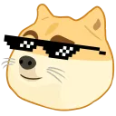 dogecool
