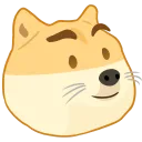 dogedayum1