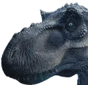 okayboomer