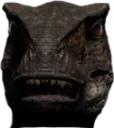 squint