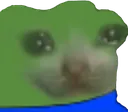 peepoSadcat