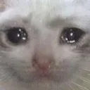 sadcat Discord Emoji