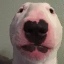 Walter