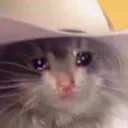 SAD
