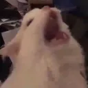 kit_eee