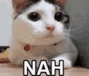 nah