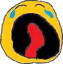 cry_2
